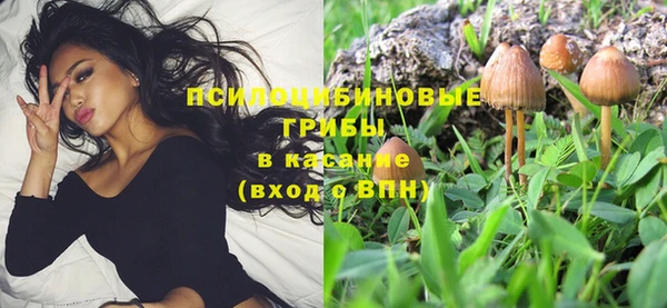 ALPHA PVP Армянск