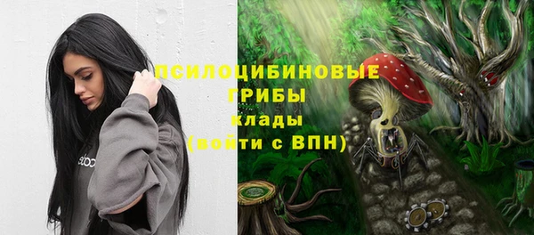 ALPHA PVP Армянск