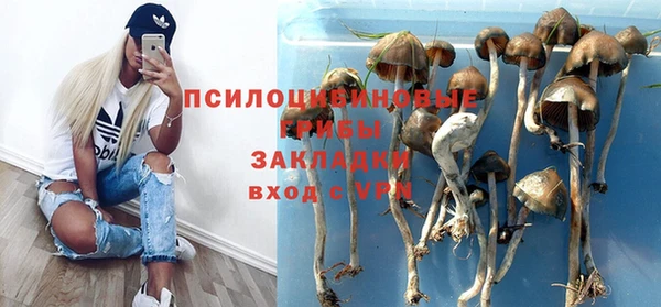 ALPHA PVP Армянск