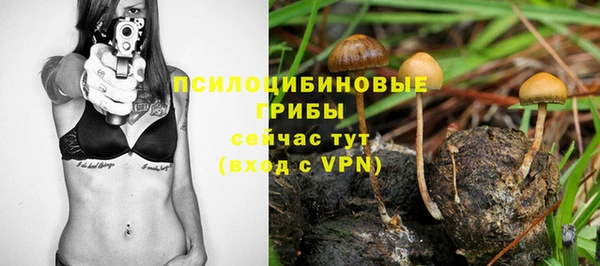 метадон Аркадак