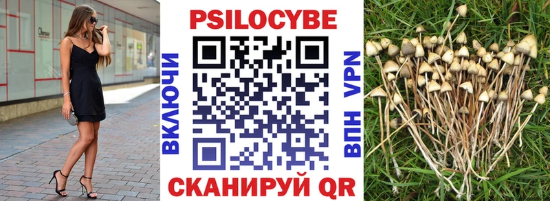 Галлюциногенные грибы Cubensis  купить наркотики сайты  Асбест 